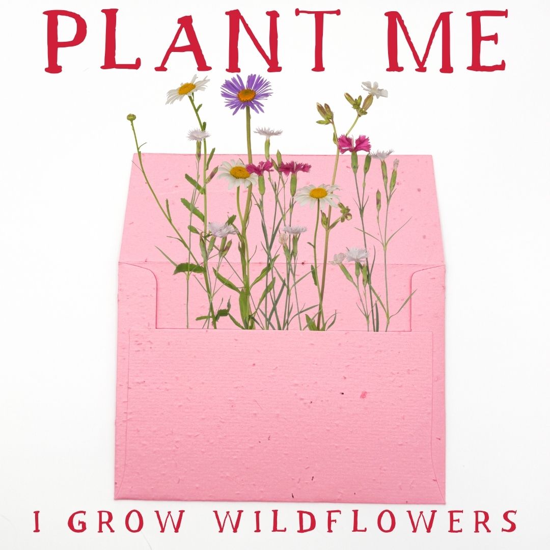 thinking of you: handmade greeting card & plantable envelope